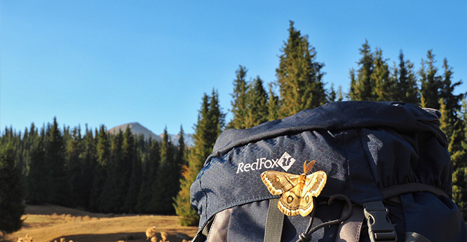 Топ-3 рюкзаков Red Fox для походов