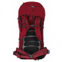 HUSKY ribon рюкзак туристический (60 л, вишневый)