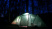Talberg base 6 палатка talberg (зелёный)