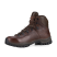imgi_62_66e29d35e39ee1c73409e38c.png