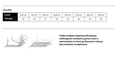 Кроссовки мужские Terra Max Nitro (39, Белый/синий, , , , , )
