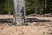 Talberg compact pole палки треккинговые_ (зеленый)