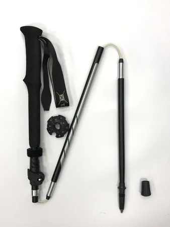 ASTRA-Z POLE палки треккинговые (черный)