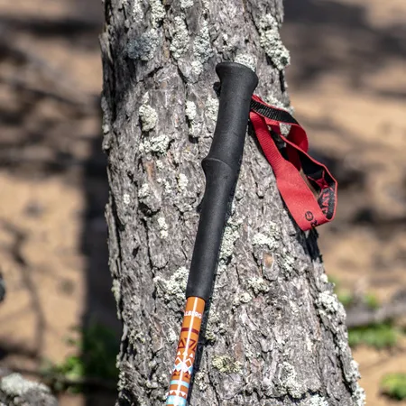 RANGER POLE палки треккинговые (коричневый)