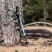 Talberg compact pole палки треккинговые_ (зеленый)