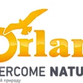 Orlan