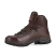 imgi_62_66e29d35e39ee1c73409e38c.png